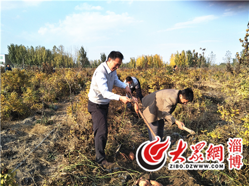 桓台县个体私营企业党委与淄博沣亿农场党支部