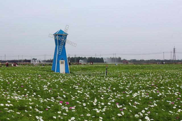 三条旅游精品路线引爆临淄夏季旅游!千家旅行