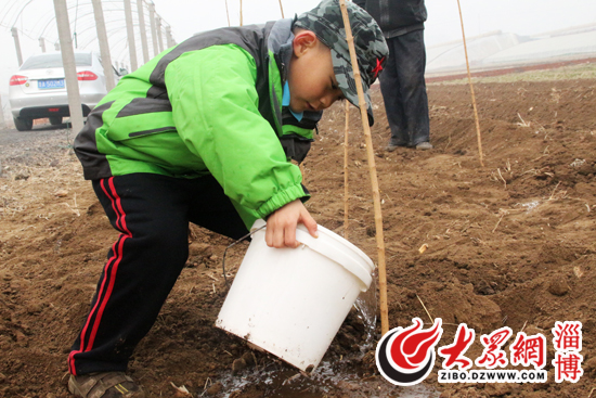 全家上阵齐种树 小朋友和爱心树共成长