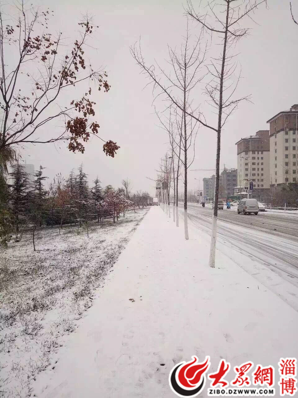 今天白天到夜间,淄博中心城区将持续小雪转中雪的降雪天