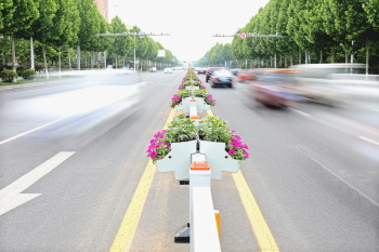 美观又实用北京路护栏上长出花