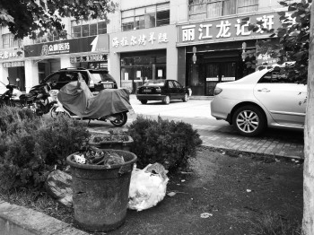 02_3295.jpg