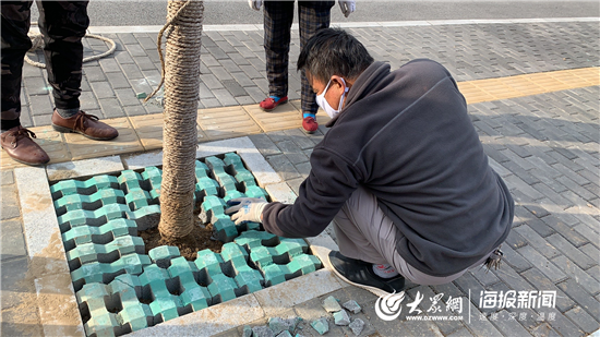 多彩樹穴 馬尚鎮為環境綜合整治添色彩_張店_大眾網