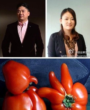 庄佳刘强东西红柿图片图片